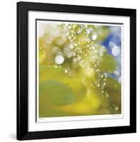 Floral Elements 16-Florence Delva-Framed Giclee Print