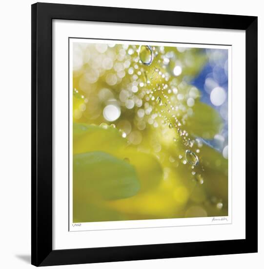 Floral Elements 16-Florence Delva-Framed Giclee Print