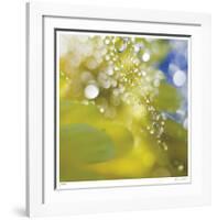 Floral Elements 16-Florence Delva-Framed Giclee Print