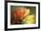 Floral Elements 1-Florence Delva-Framed Giclee Print