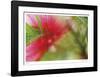 Floral Elements 2-Florence Delva-Framed Giclee Print