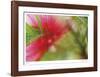 Floral Elements 2-Florence Delva-Framed Giclee Print