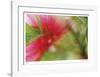 Floral Elements 2-Florence Delva-Framed Giclee Print