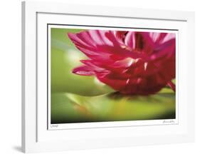 Floral Elements 8-Florence Delva-Framed Giclee Print