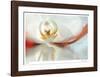 Floral Elements 9-Florence Delva-Framed Giclee Print