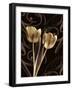 Floral Eloquence I-Ily Szilagyi-Framed Giclee Print