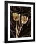 Floral Eloquence I-Ily Szilagyi-Framed Giclee Print