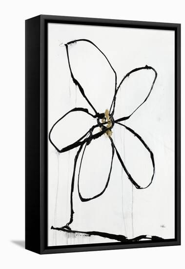 Floral Fancy II-Joshua Schicker-Framed Stretched Canvas