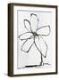 Floral Fancy III-Joshua Schicker-Framed Giclee Print