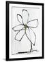 Floral Fancy III-Joshua Schicker-Framed Giclee Print