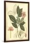 Floral Fantasia II-null-Framed Art Print