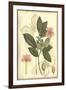 Floral Fantasia II-null-Framed Art Print