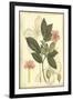 Floral Fantasia II-null-Framed Art Print