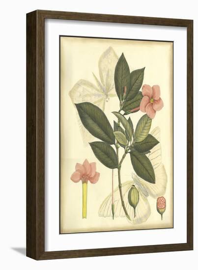 Floral Fantasia II-null-Framed Art Print