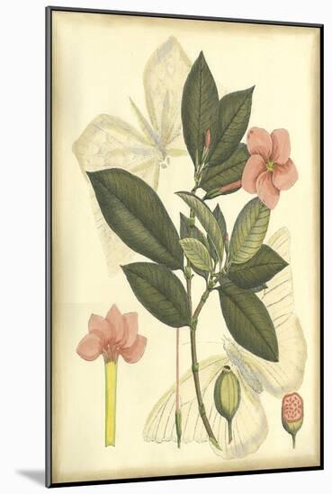 Floral Fantasia II-null-Mounted Art Print