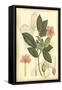 Floral Fantasia II-null-Framed Stretched Canvas