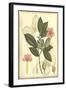 Floral Fantasia II-null-Framed Art Print