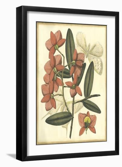 Floral Fantasia III-null-Framed Art Print