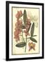 Floral Fantasia III-null-Framed Art Print