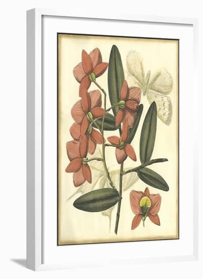 Floral Fantasia III-null-Framed Art Print