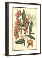 Floral Fantasia III-null-Framed Art Print