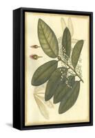 Floral Fantasia IV-null-Framed Stretched Canvas