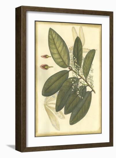 Floral Fantasia IV-null-Framed Art Print