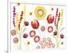 Floral Fantasy II-Ingrid Van Den Brand-Framed Giclee Print