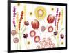 Floral Fantasy II-Ingrid Van Den Brand-Framed Giclee Print