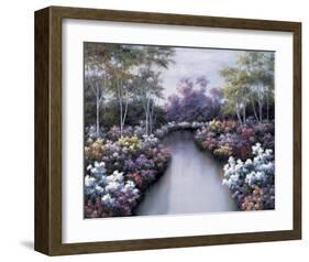 Floral Fantasy-Diane Romanello-Framed Art Print