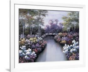 Floral Fantasy-Diane Romanello-Framed Art Print