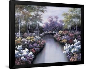 Floral Fantasy-Diane Romanello-Framed Art Print