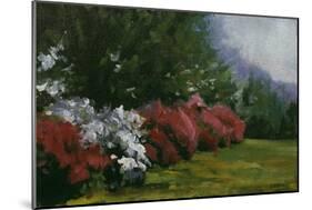 Floral Fantasy-Michael Budden-Mounted Giclee Print