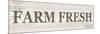 Floral Farm Fresh-Kimberly Allen-Mounted Premium Giclee Print
