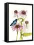 Floral Field Notes II-Melissa Wang-Framed Stretched Canvas