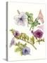 Floral Field Notes III-Melissa Wang-Stretched Canvas