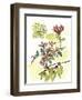 Floral Field Notes IV-Melissa Wang-Framed Art Print