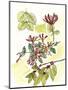Floral Field Notes IV-Melissa Wang-Mounted Art Print