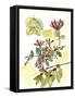 Floral Field Notes IV-Melissa Wang-Framed Stretched Canvas