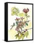 Floral Field Notes IV-Melissa Wang-Framed Stretched Canvas