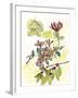 Floral Field Notes IV-Melissa Wang-Framed Art Print