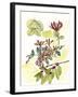 Floral Field Notes IV-Melissa Wang-Framed Art Print