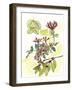 Floral Field Notes IV-Melissa Wang-Framed Art Print