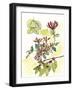 Floral Field Notes IV-Melissa Wang-Framed Art Print