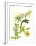 Floral Field Notes V-Melissa Wang-Framed Art Print