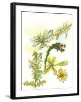 Floral Field Notes V-Melissa Wang-Framed Art Print