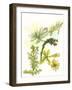 Floral Field Notes V-Melissa Wang-Framed Art Print