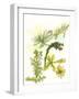 Floral Field Notes V-Melissa Wang-Framed Art Print