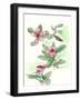 Floral Field Notes VI-Melissa Wang-Framed Art Print