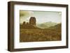 Floral Fields-Aledanda-Framed Photographic Print